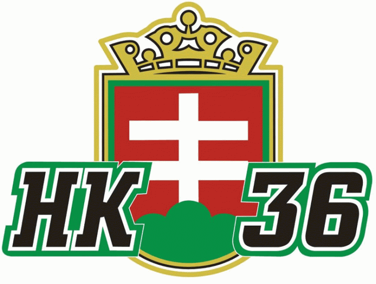 HK 36 Skalica Pres Primary Logo iron on transfers for clothing